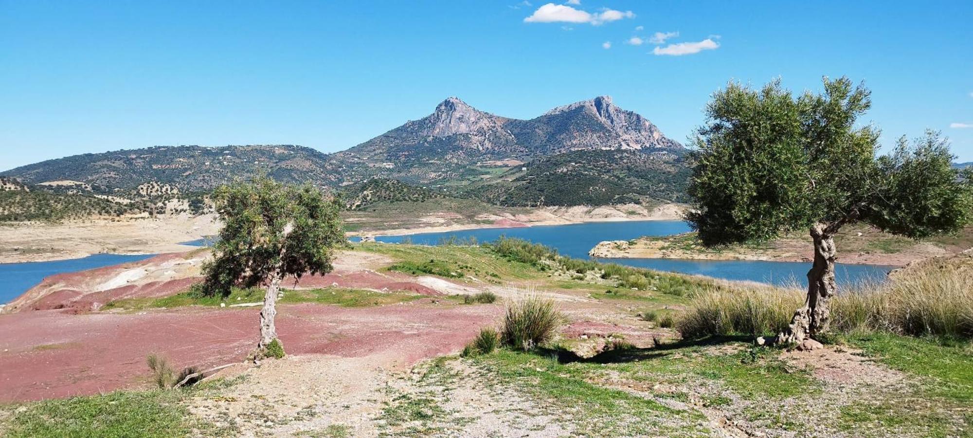 Casa Gladys Villa Zahara De La Sierra Eksteriør billede